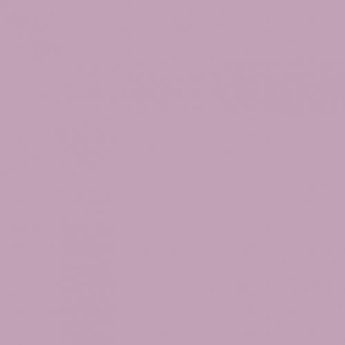 Image de Mauve - Jersey Uni