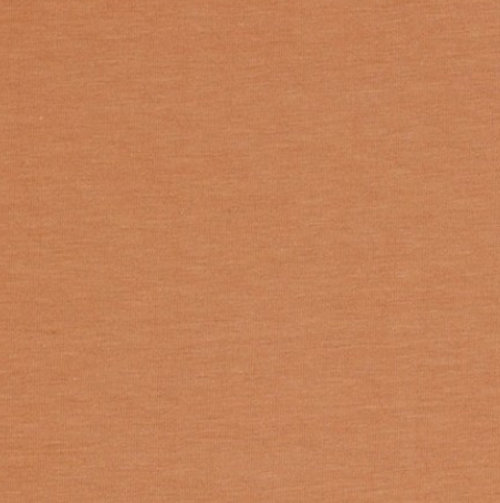 Image de Saumon - Jersey Uni