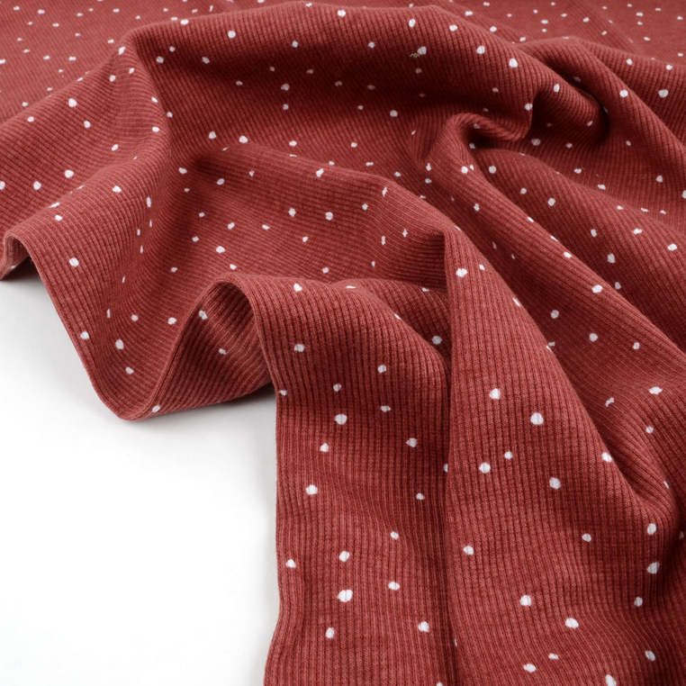 Image de Petits pois Rib organique - Marsala 1/2 m