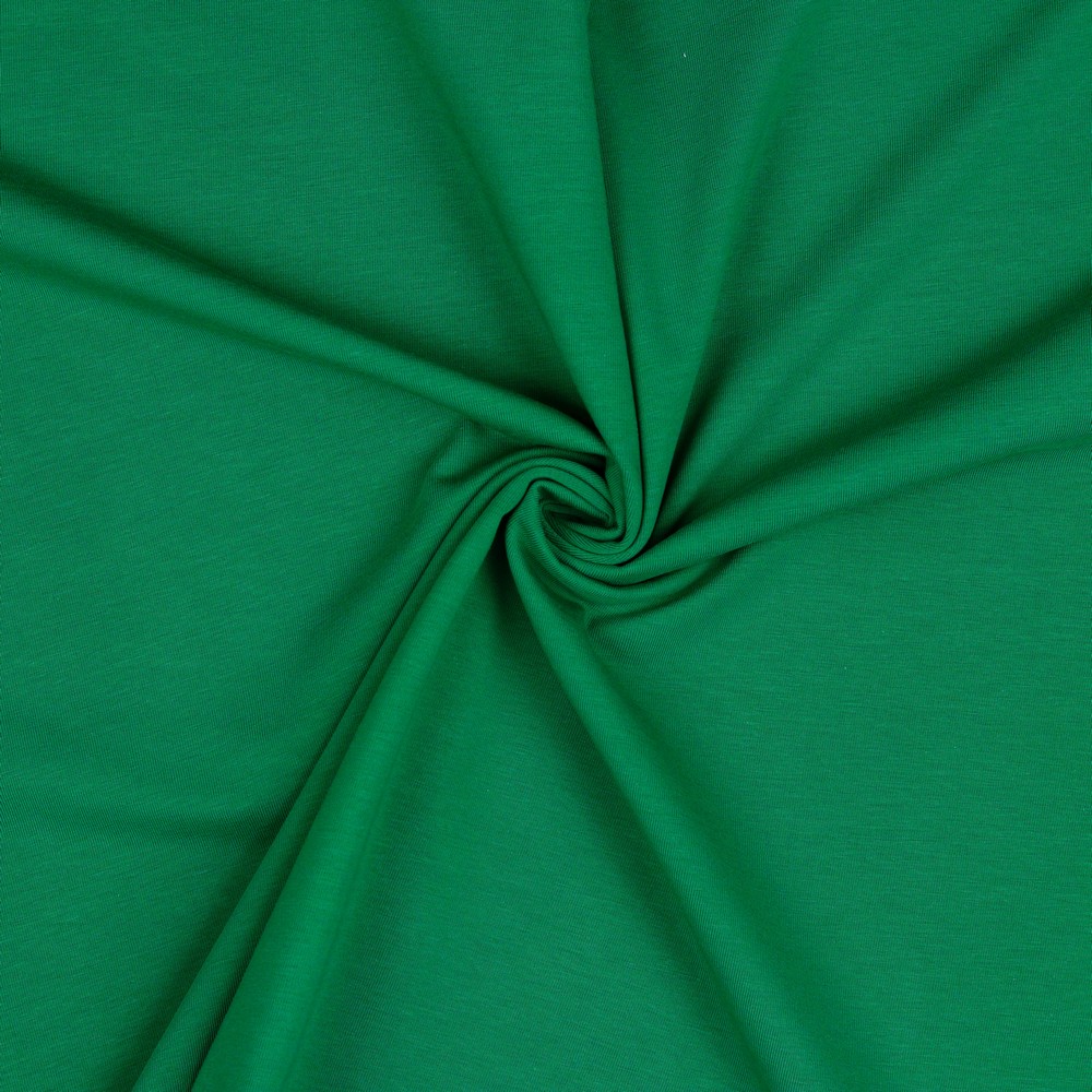 Image de Vert boréal - Jersey Uni GOTS