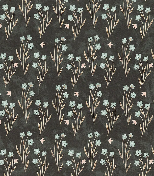 Image de Rayonne - Pattes & jeux / Champ noir 1/2 m