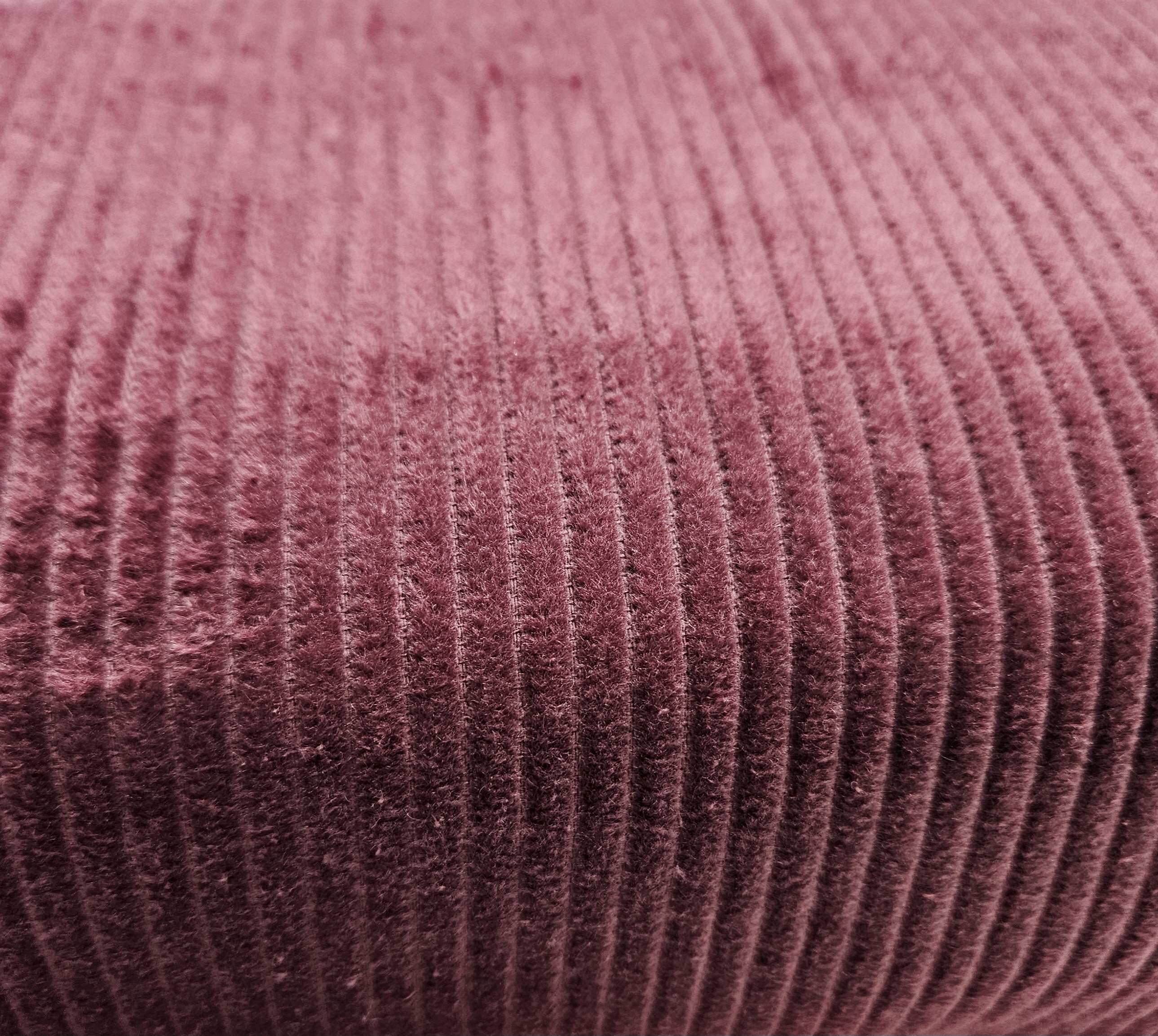 Image de Corduroy europ&eacute;en - Magenta 1/2 m
