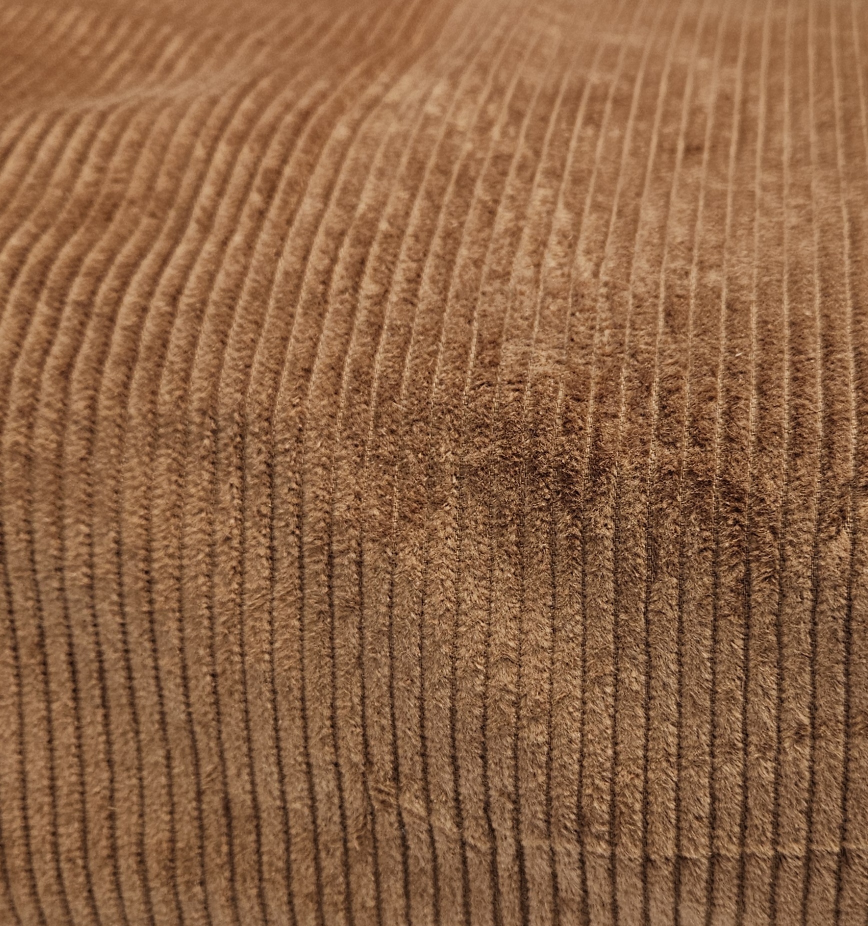 Image de Corduroy europ&eacute;en - Cognac 1/2 m